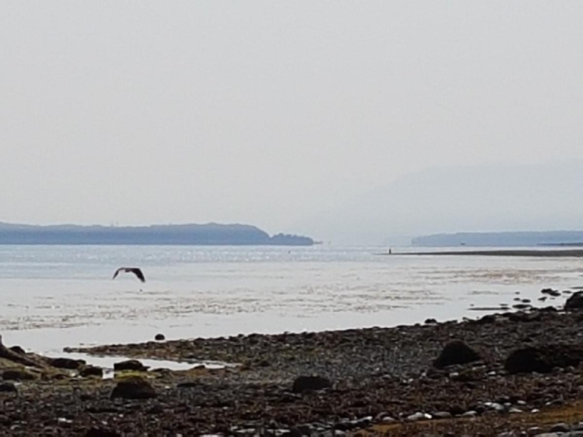 Airport Inn Port Hardy Luaran gambar